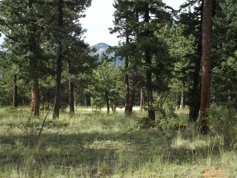 46 Firehouse Rd, Pine, CO 80470 photo 1