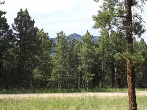46 Firehouse Rd, Pine, CO 80470 photo 6