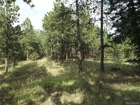 46 Firehouse Rd, Pine, CO 80470 photo 10