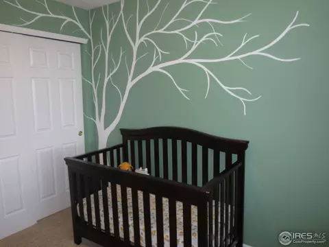 6140 Ulysses Ave, Firestone, CO 80504 photo 13