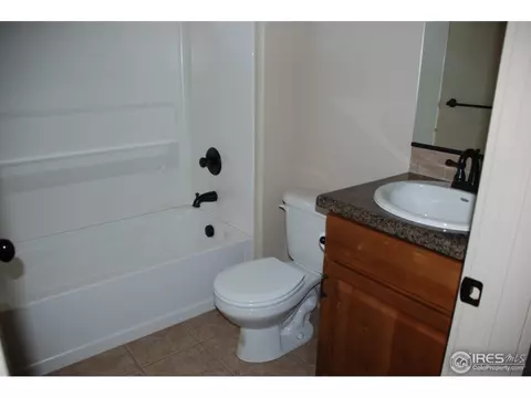 632 Wind River Ct, Windsor, CO 80550 photo 30