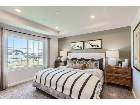 341 Baler Ct, Brighton, CO 80601 photo 13