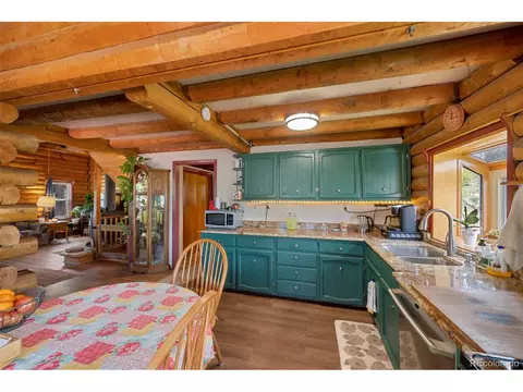 9823 Arnold St, Conifer, CO 80433 photo 11