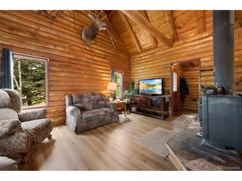 9823 Arnold St, Conifer, CO 80433 photo 3