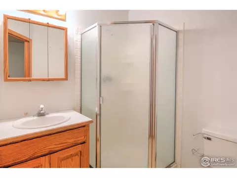 421 1st St, Windsor, CO 80550 photo 27