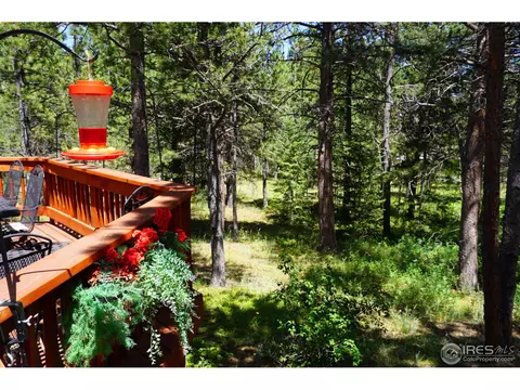 17907 Highway 7, Lyons, CO 80540 photo 3