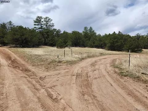 44 I Path, Cotopaxi, CO 81223 photo 8