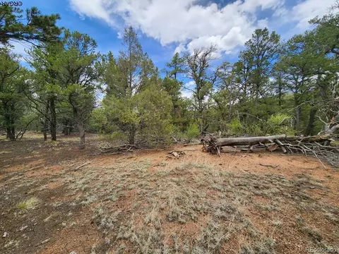 44 I Path, Cotopaxi, CO 81223