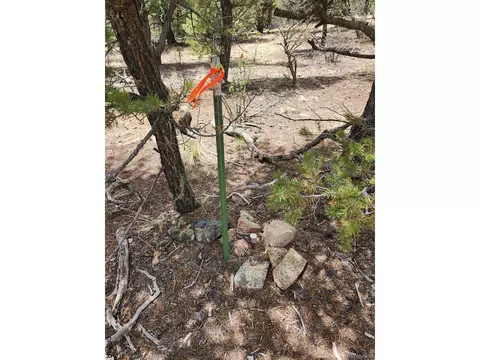 44 I Path, Cotopaxi, CO 81223 photo 6
