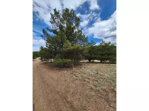 44 I Path, Cotopaxi, CO 81223 photo 7