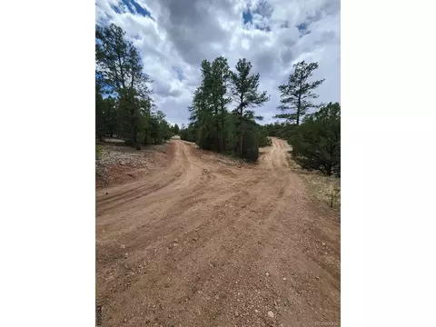 44 I Path, Cotopaxi, CO 81223 photo 11
