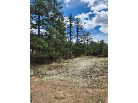 44 I Path, Cotopaxi, CO 81223 photo 4