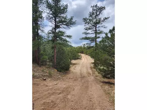 44 I Path, Cotopaxi, CO 81223 photo 9