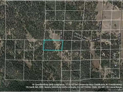 44 I Path, Cotopaxi, CO 81223 photo 14