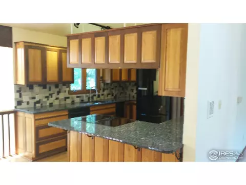 4572 Robinson Pl, Boulder, CO 80301 photo 11