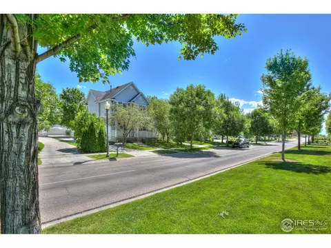 1435 Grand Ave, Windsor, CO 80550 photo 5