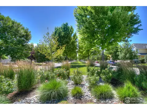 1435 Grand Ave, Windsor, CO 80550 photo 4
