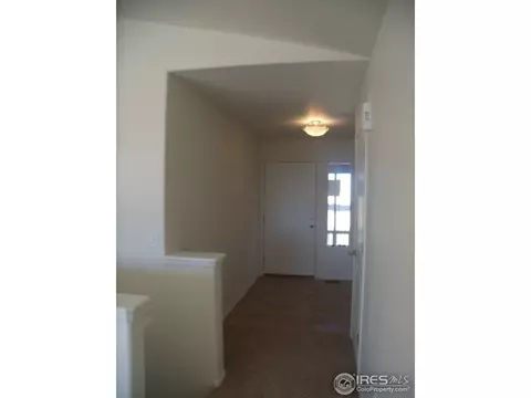 892 Park Edge Cir, Windsor, CO 80550 photo 3