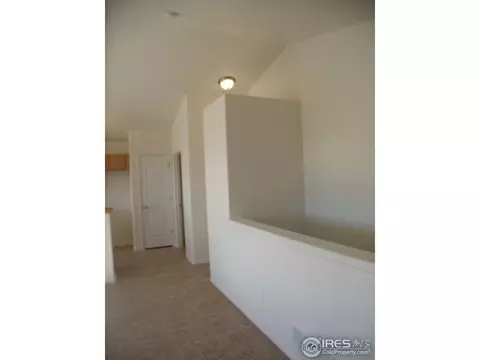 892 Park Edge Cir, Windsor, CO 80550 photo 4