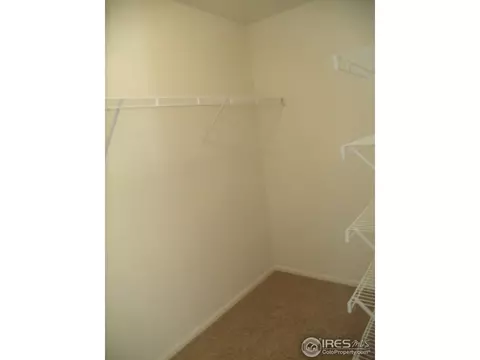 892 Park Edge Cir, Windsor, CO 80550 photo 16