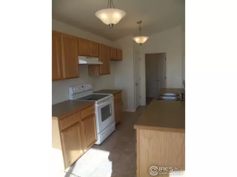 892 Park Edge Cir, Windsor, CO 80550 photo 11