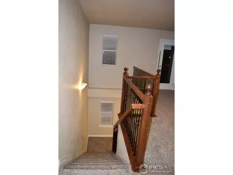368 Antora Ct, Windsor, CO 80550 photo 18