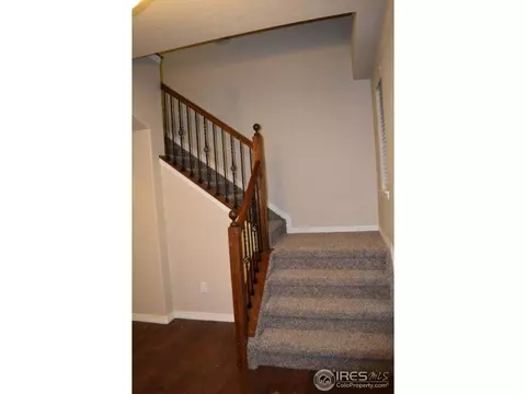 368 Antora Ct, Windsor, CO 80550 photo 8