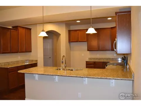 368 Antora Ct, Windsor, CO 80550 photo 3