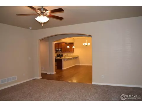 368 Antora Ct, Windsor, CO 80550 photo 12
