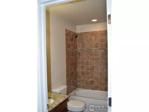 368 Antora Ct, Windsor, CO 80550 photo 16