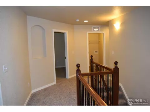 368 Antora Ct, Windsor, CO 80550 photo 20