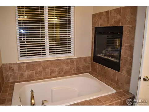 368 Antora Ct, Windsor, CO 80550 photo 22