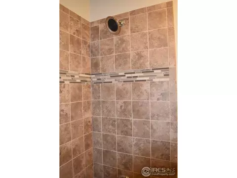 368 Antora Ct, Windsor, CO 80550 photo 28