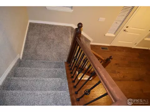 368 Antora Ct, Windsor, CO 80550 photo 15
