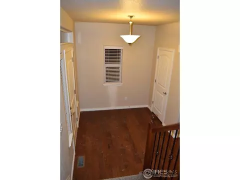 368 Antora Ct, Windsor, CO 80550 photo 31