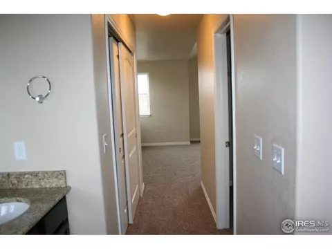356 Antora Ct, Windsor, CO 80550 photo 19