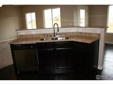 356 Antora Ct, Windsor, CO 80550 photo 8