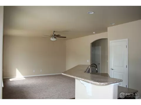 356 Antora Ct, Windsor, CO 80550 photo 4
