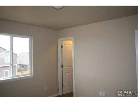 356 Antora Ct, Windsor, CO 80550 photo 14