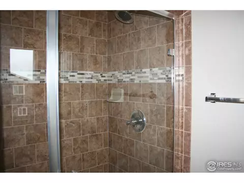 356 Antora Ct, Windsor, CO 80550 photo 17