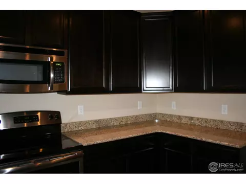356 Antora Ct, Windsor, CO 80550 photo 7
