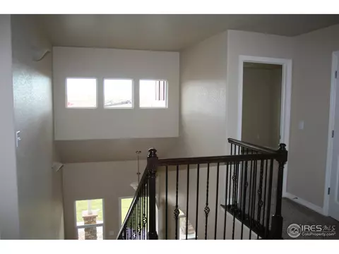 356 Antora Ct, Windsor, CO 80550 photo 13