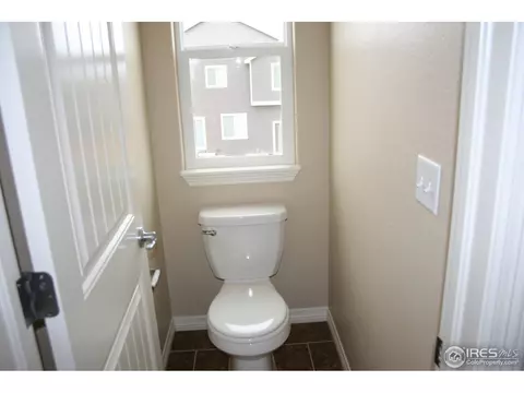 356 Antora Ct, Windsor, CO 80550 photo 18