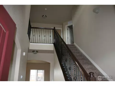 356 Antora Ct, Windsor, CO 80550 photo 12