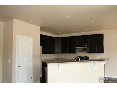 356 Antora Ct, Windsor, CO 80550 photo 3