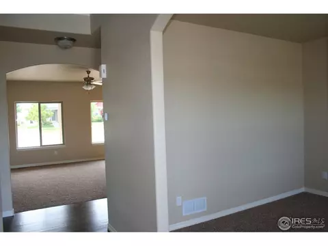 356 Antora Ct, Windsor, CO 80550 photo 5