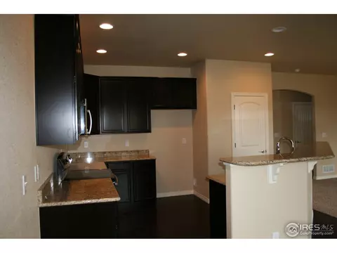 356 Antora Ct, Windsor, CO 80550 photo 9