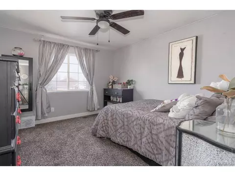 1119 3rd St, Windsor, CO 80550 photo 20