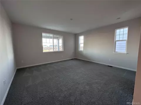 967 Rustling St, Windsor, CO 80550 photo 5