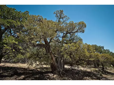 2300 Clearview, Crestone, CO 81131 photo 32